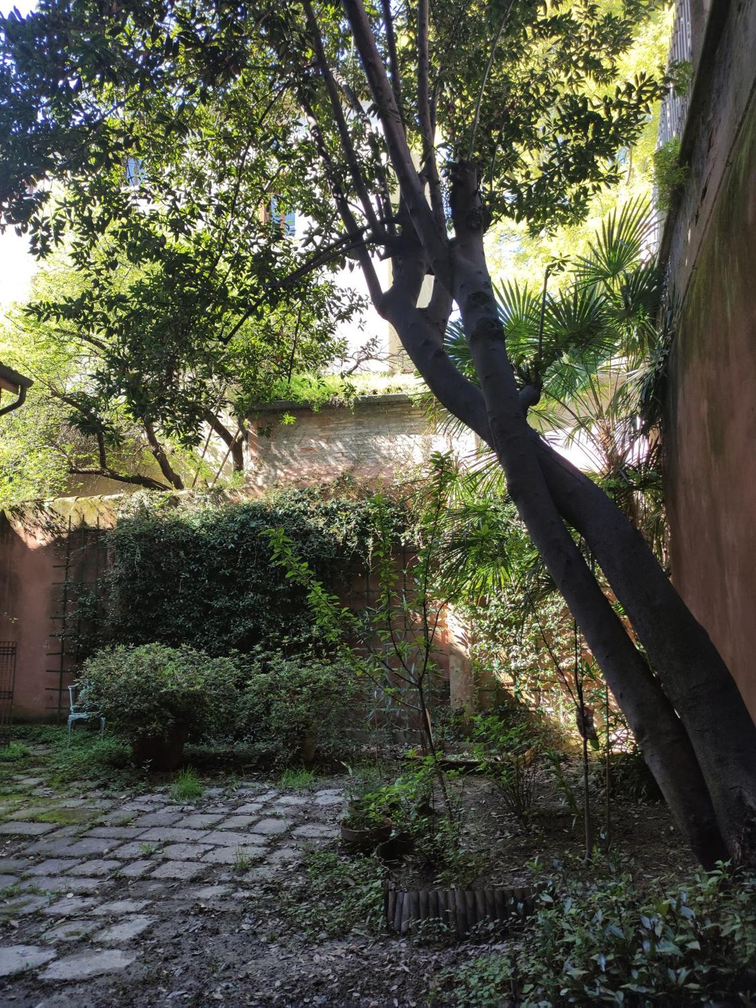 Loft Loggia Al Santo Apartment Padova Luaran gambar